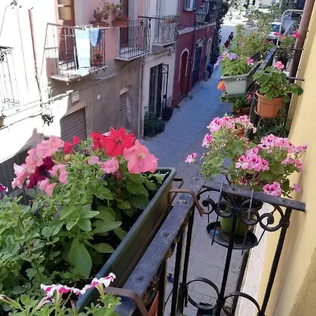 Bubibì Daire Cagliari