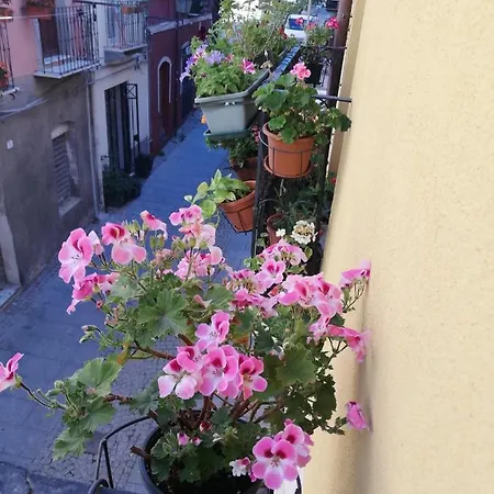 Bubibì Daire Cagliari